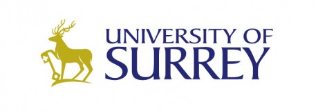surrey-banner