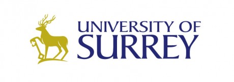 surrey-banner