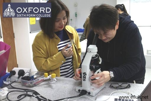 OxfordSixthFormCollege 4