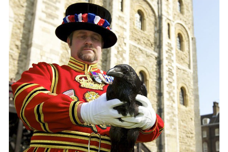 18 Weirdest and Best Paid Jobs in Britain EFL UK เรียนต่ออังกฤษ