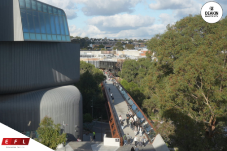 Deakin3